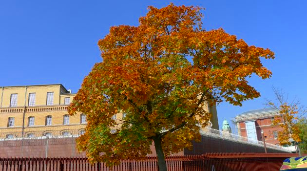 Herbst2.jpg